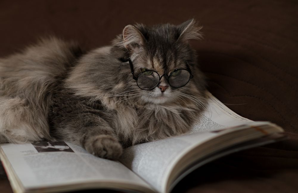 Photograph by Светлана Михеева