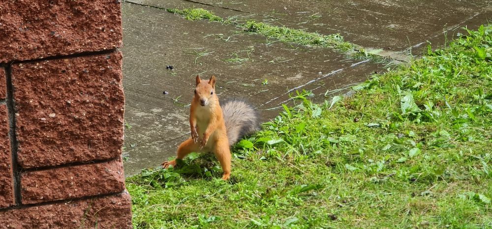 Photograph by Natasha Kim