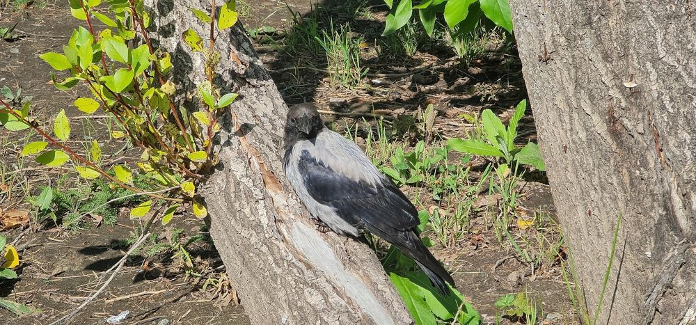 Photograph by Natasha Kim