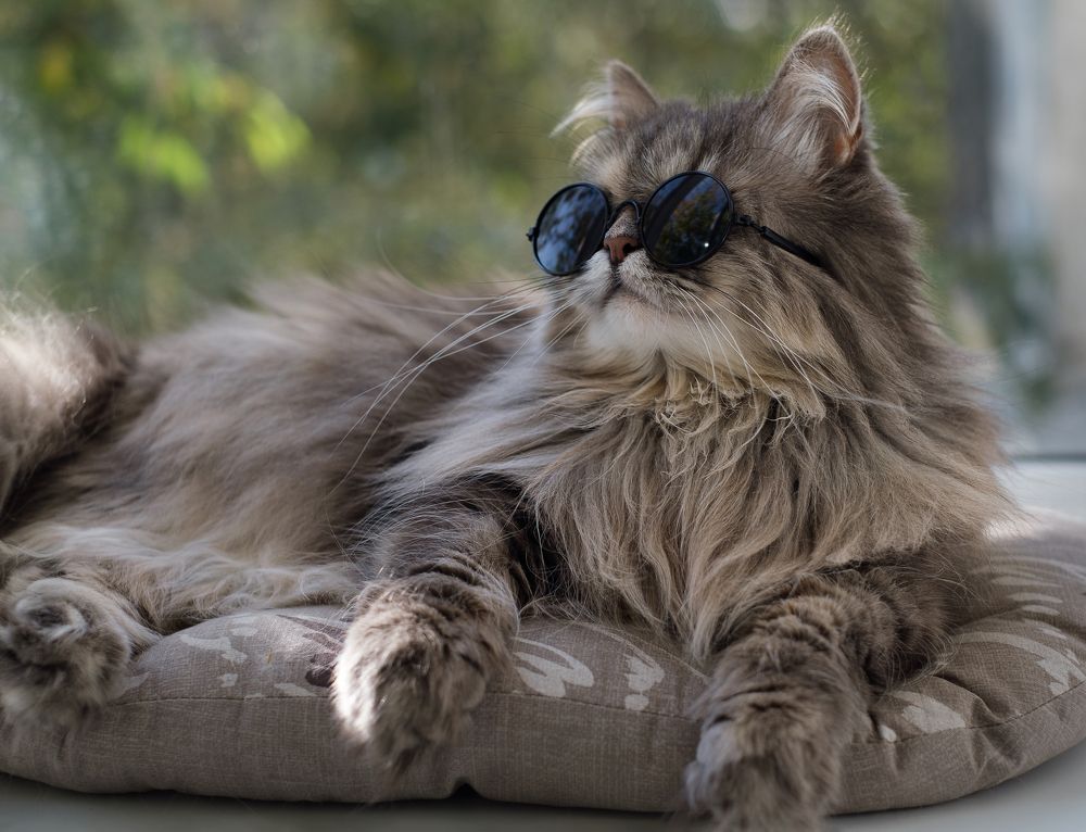 Photograph by Светлана Михеева