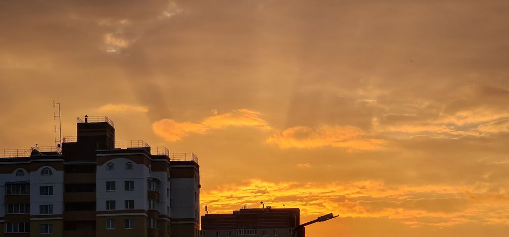 Photograph by Natasha Kim