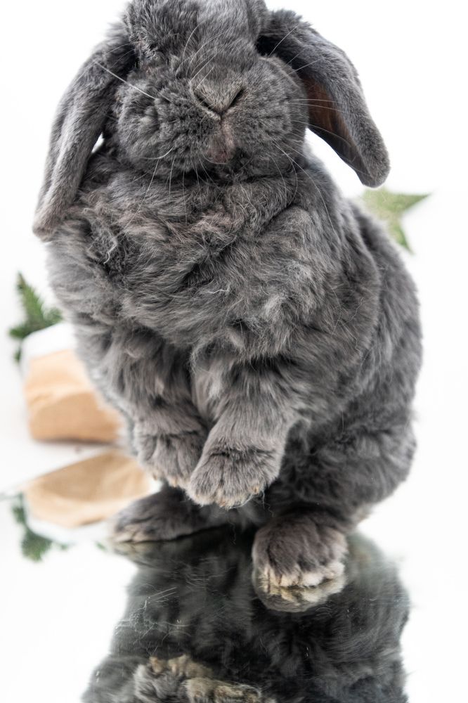 Photograph by Elena Papadopoulou