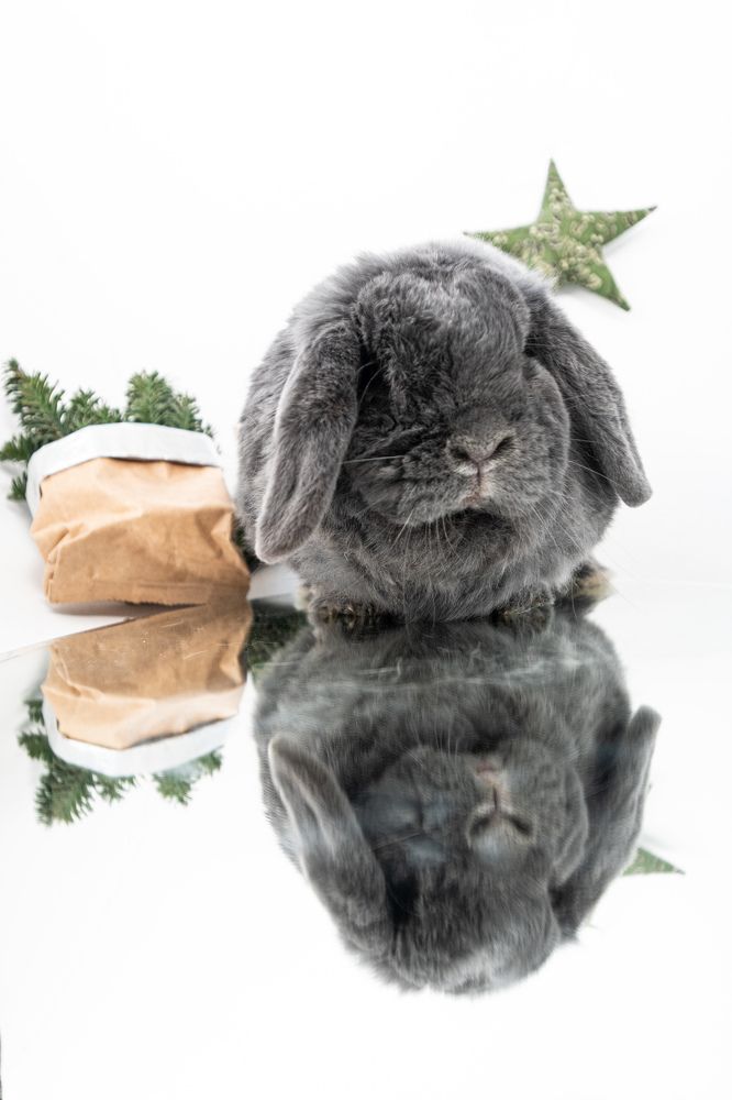 Photograph by Elena Papadopoulou