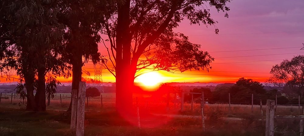 Amanecer en el campo