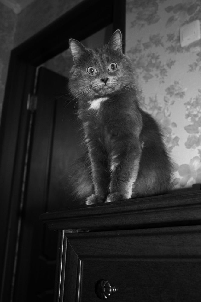 Photograph by Маргарита Баранова