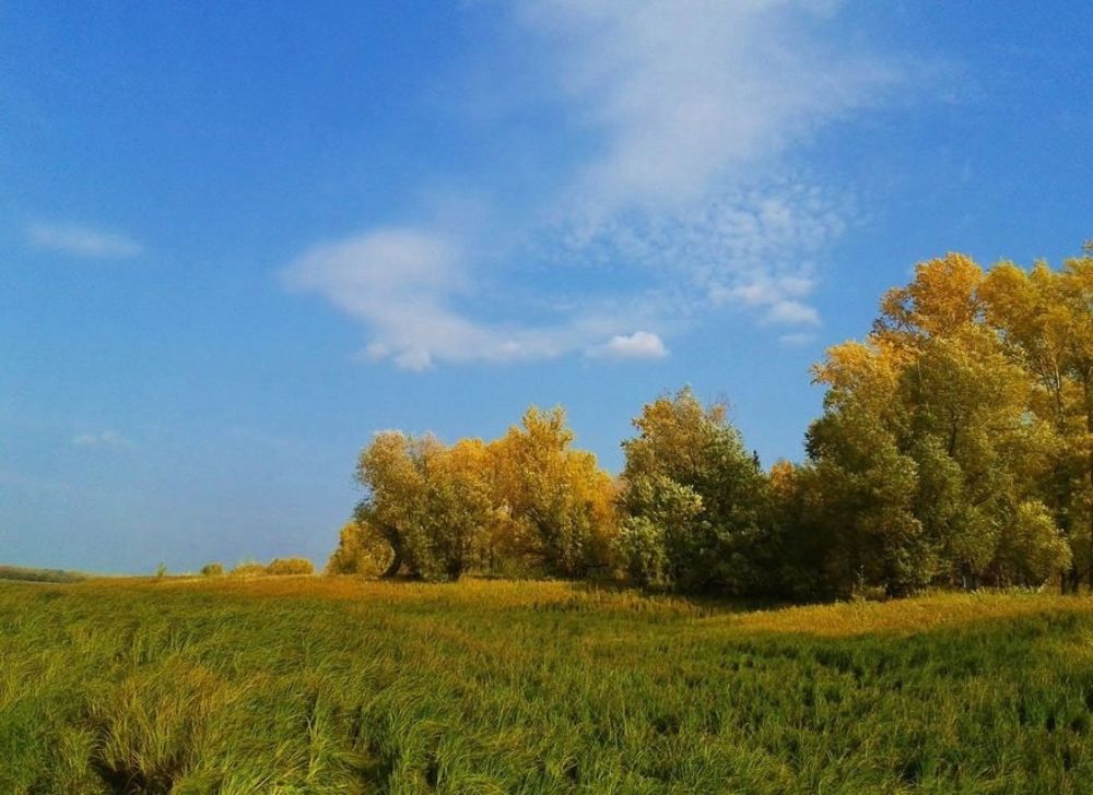 Осенние мотивы.