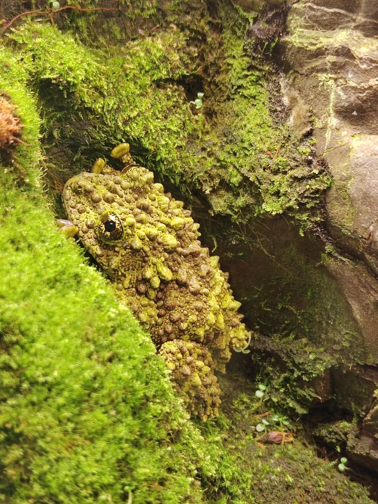 Фотография автора Anna Tsybulskaya