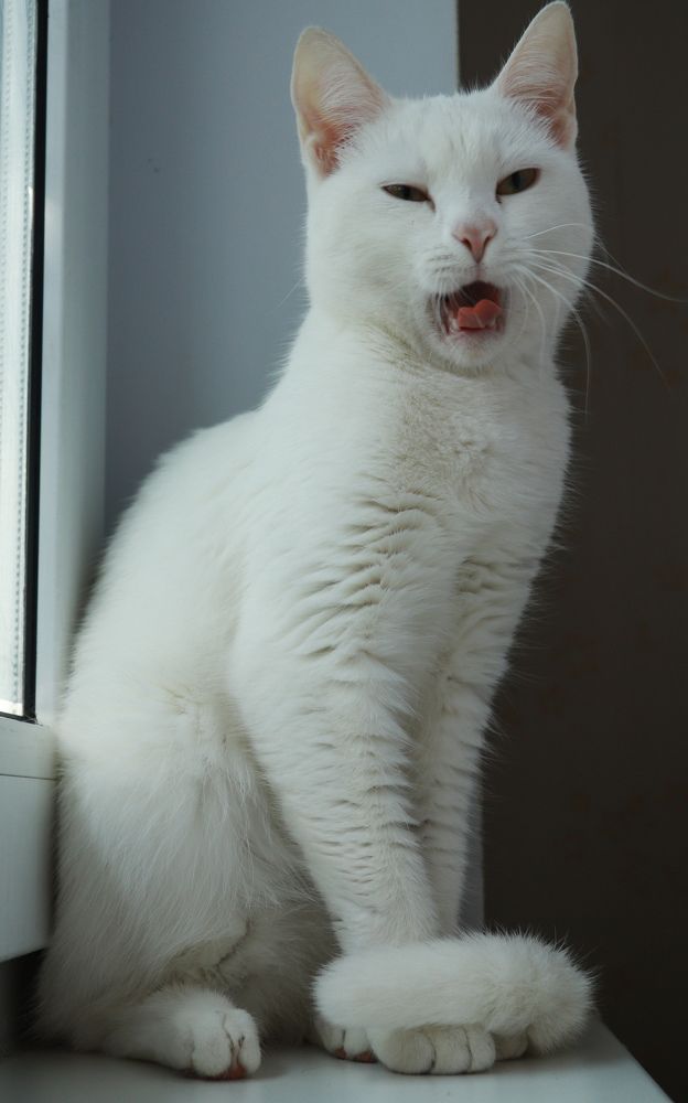 Photograph by Вася Кадочников