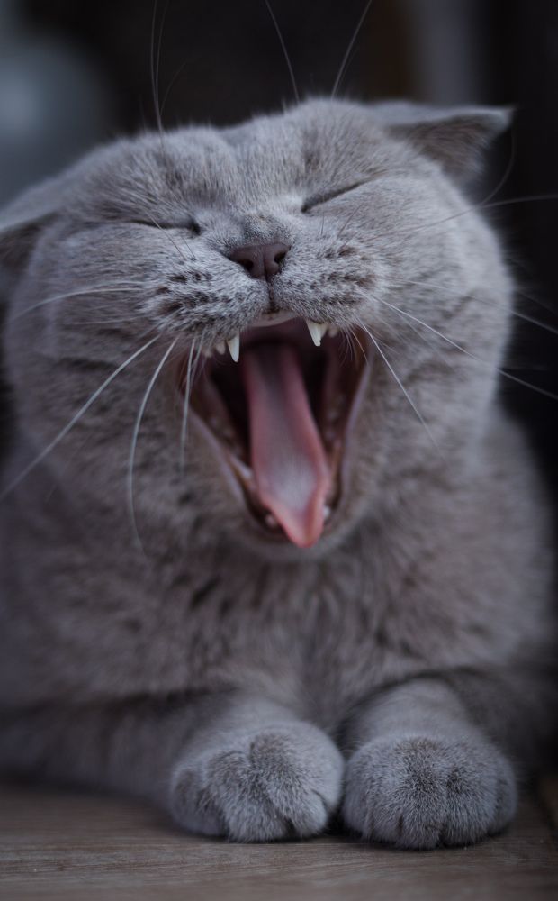 Photograph by Вася Кадочников