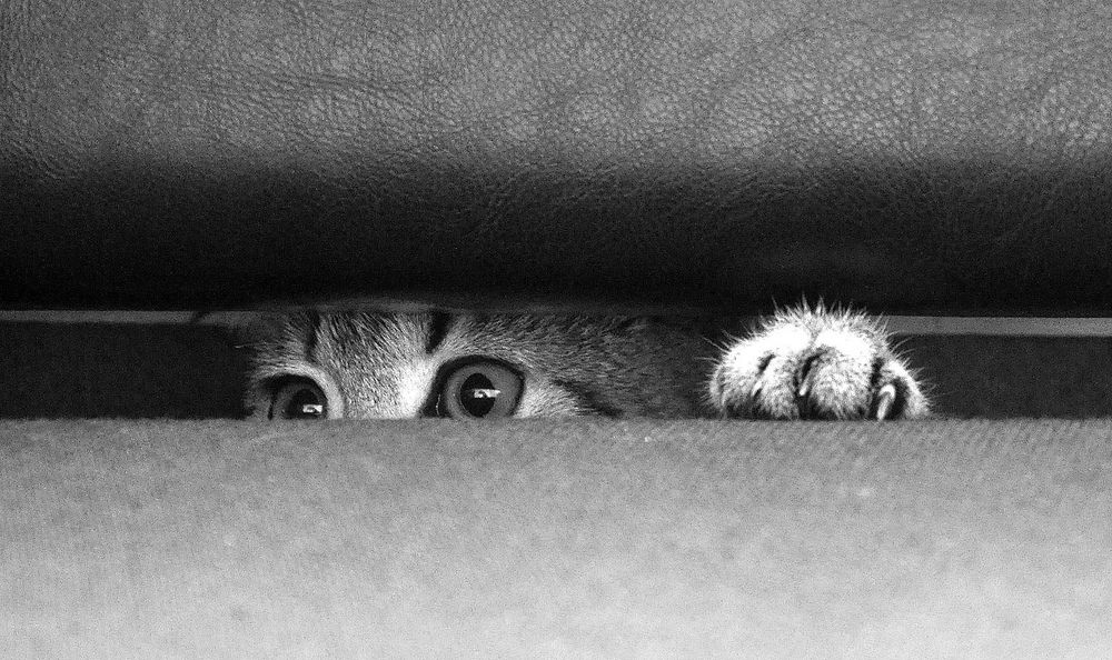 Фотография автора Ковяк Сергей Васильевич