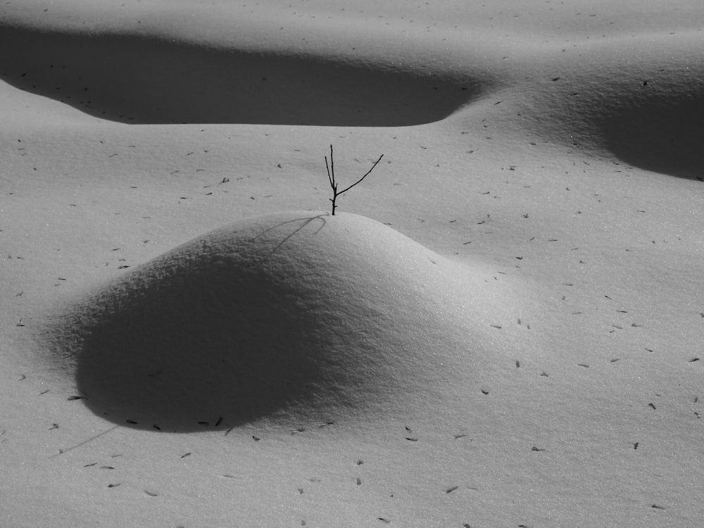 Снежные фантазии