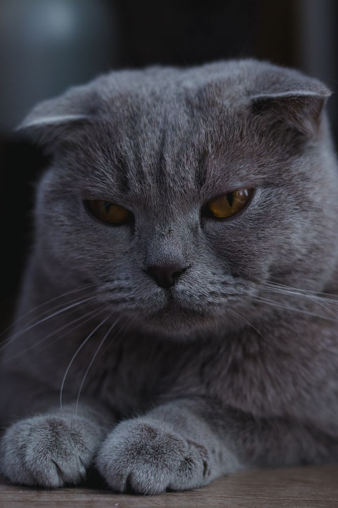 Photograph by Вася Кадочников