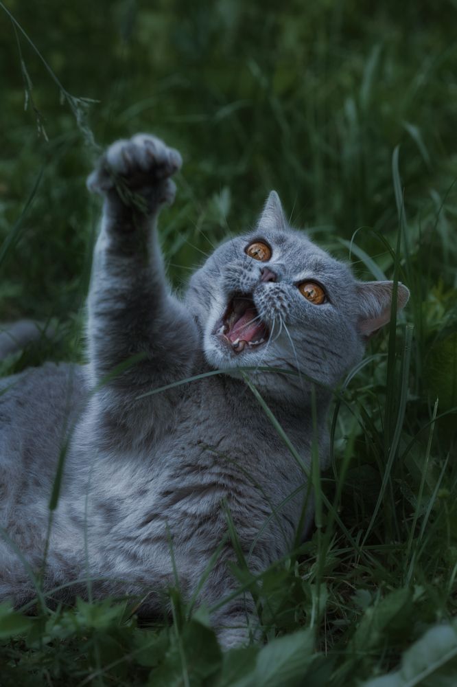 Photograph by Светлана Алексеева