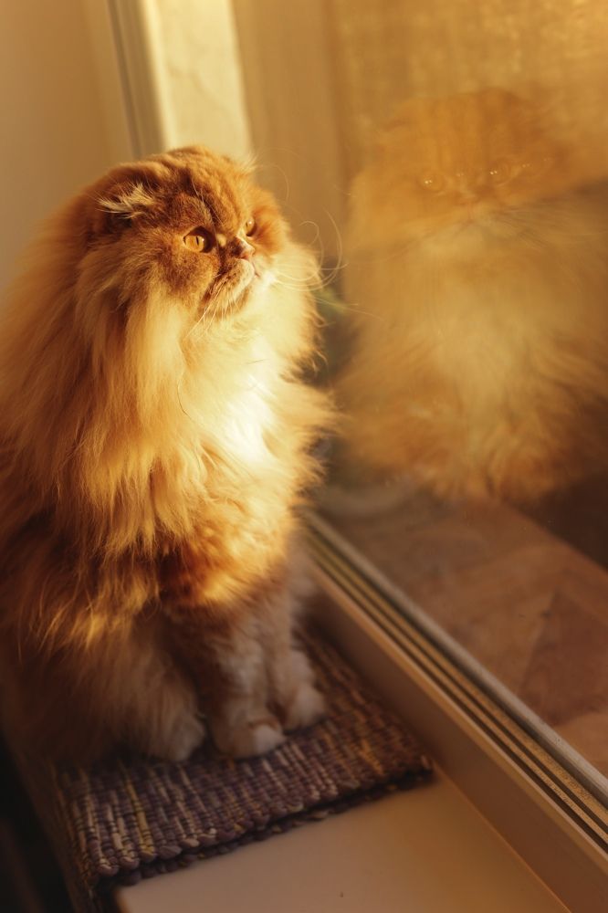 Photograph by Ольга Веретенникова