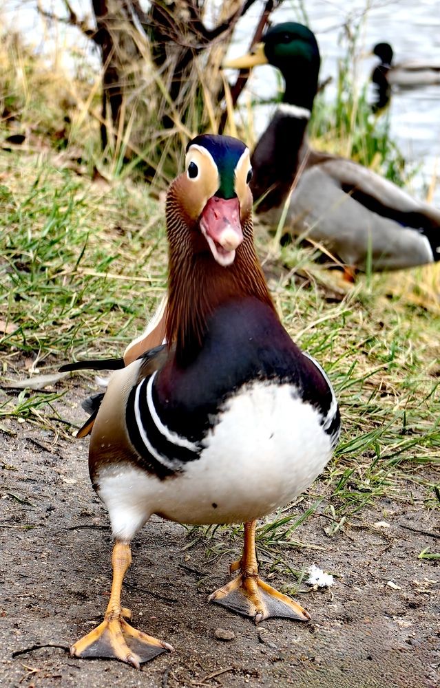 Photograph by Анна