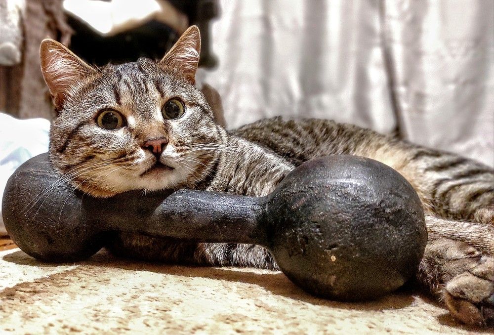 Photograph by Ирина Саттарова