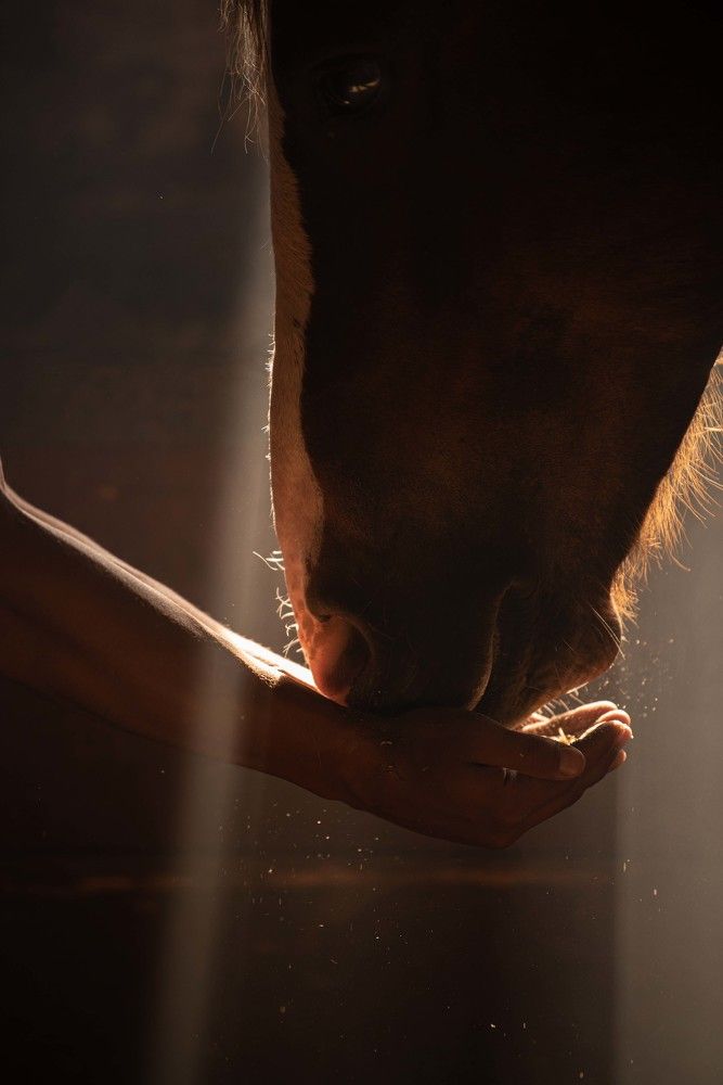 Photograph by Елена Мороз