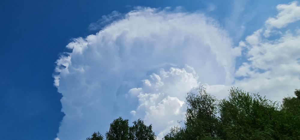 Небесная канцелярия.