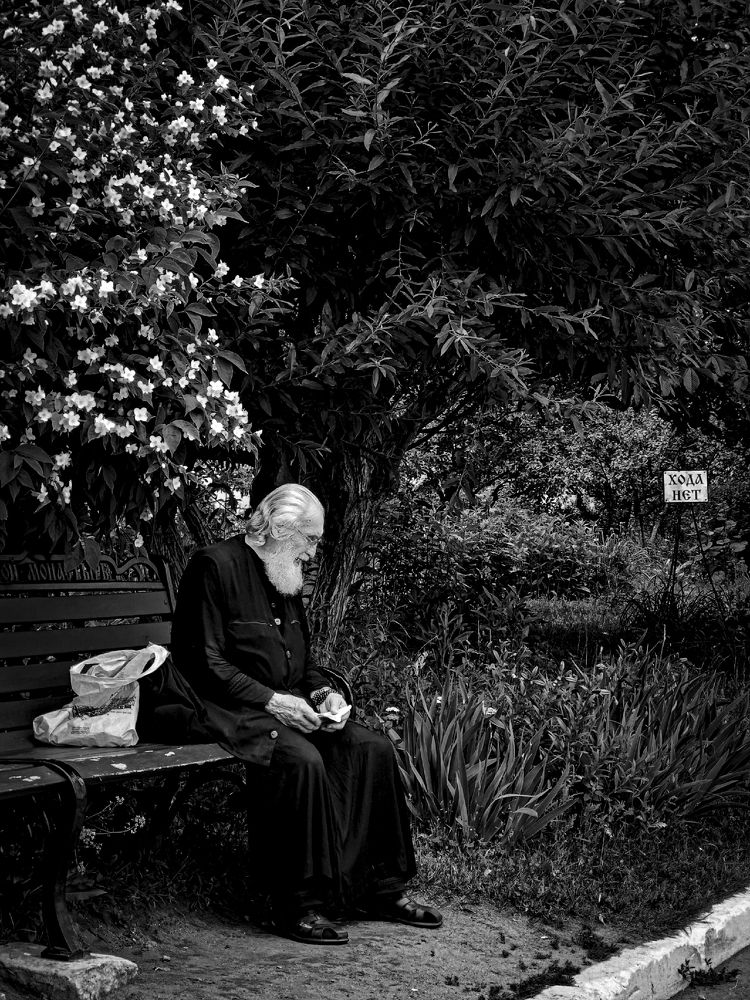 Photograph by Дмитрий Синицын