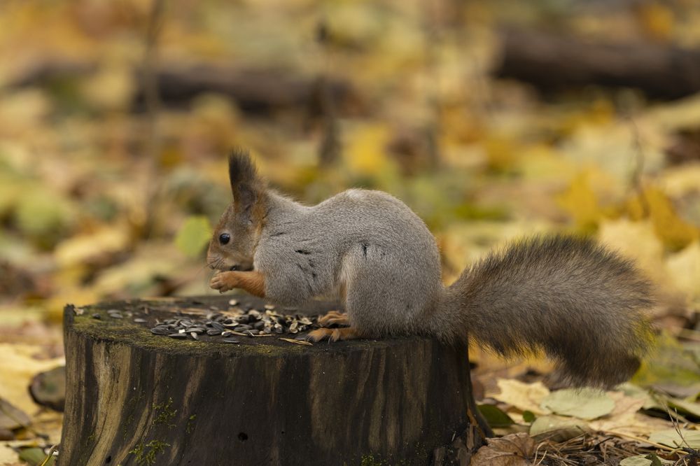 Photograph by Валентина Кваскова