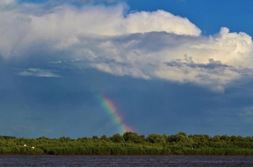 Радужное настроение.