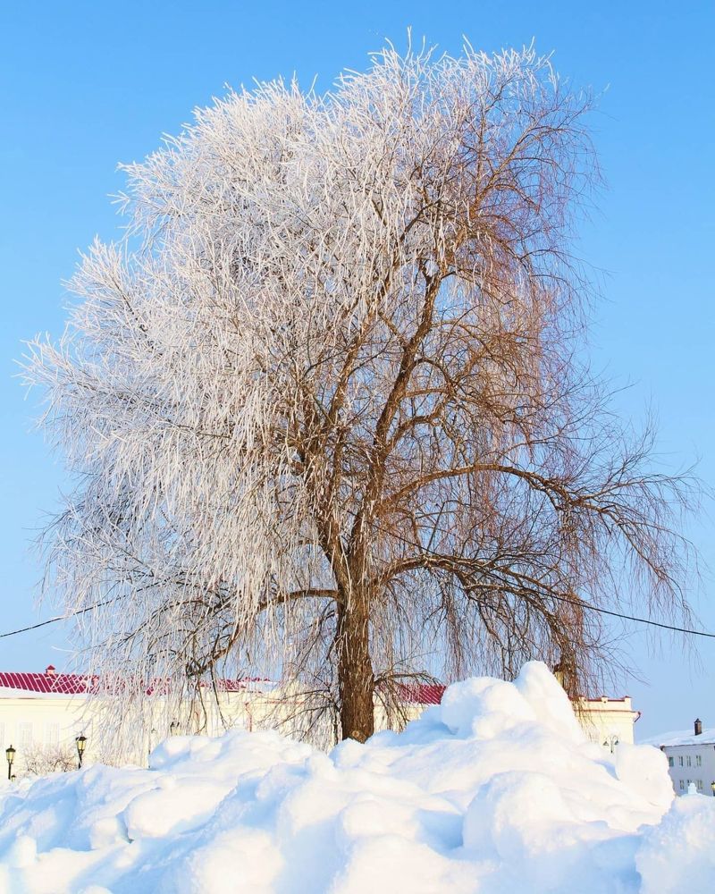 Photograph by Natasha Kim