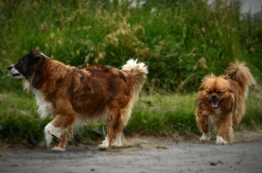 Фотография автора Наталья Алексеева