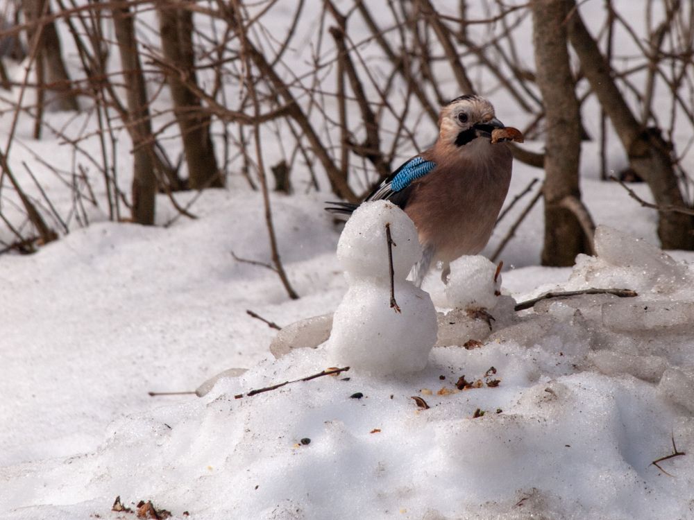 Photograph by Елена Маслова