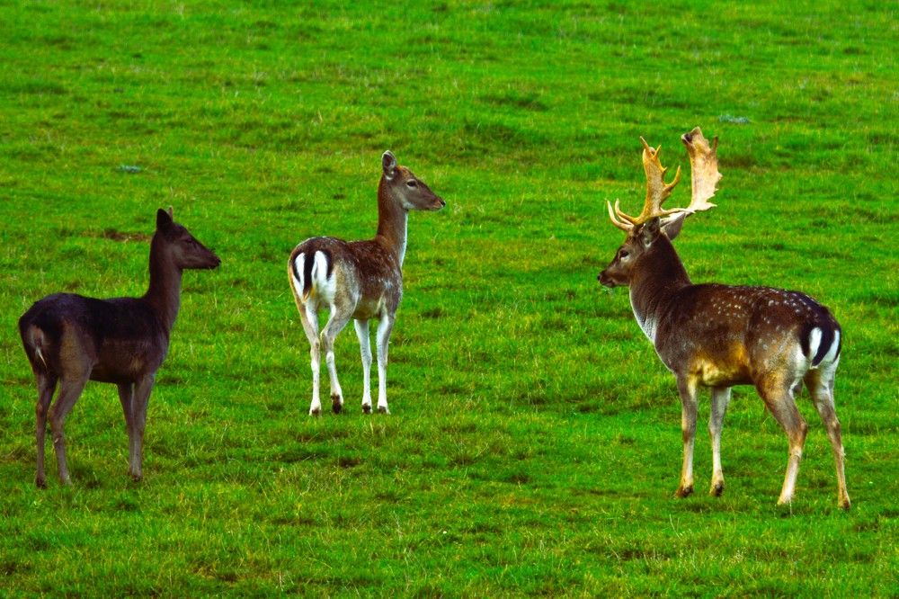 Photograph by Jozef Potocký