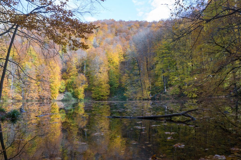 Photograph by Наталья Снеговая