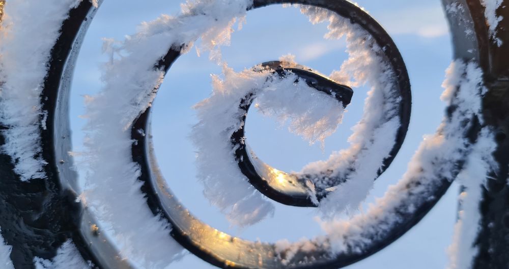 Photograph by Natasha Kim