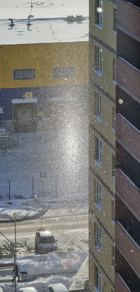 Photograph by Natasha Kim