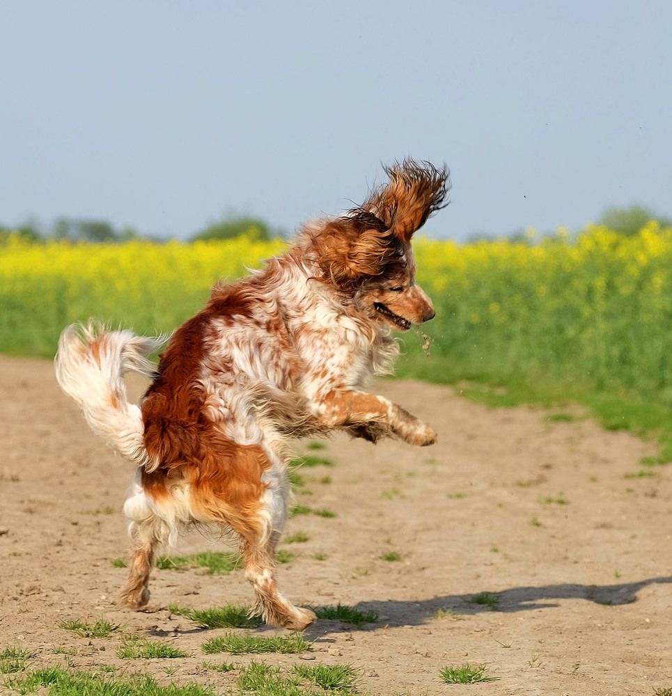 Photograph by Елена Маракулина