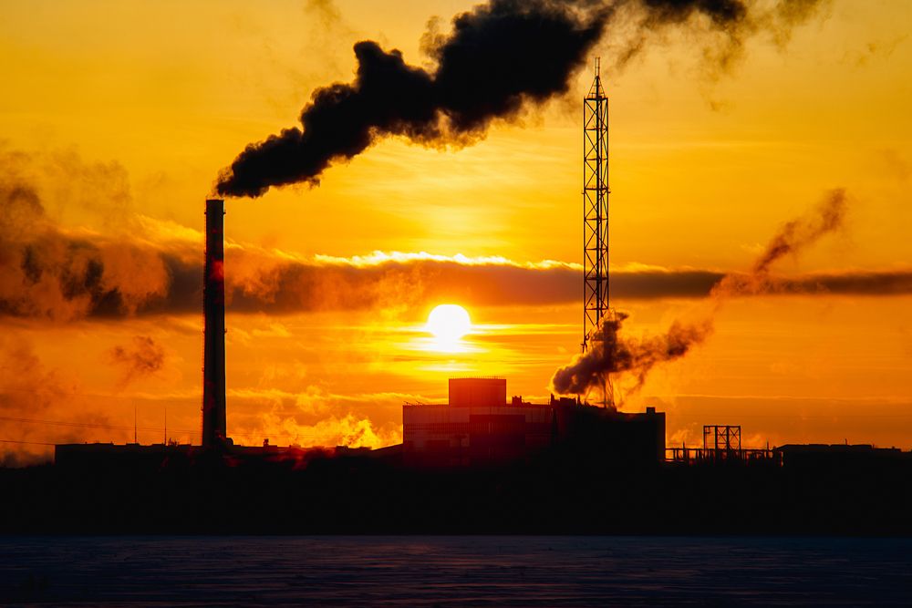 Photograph by Дзюба Нелли