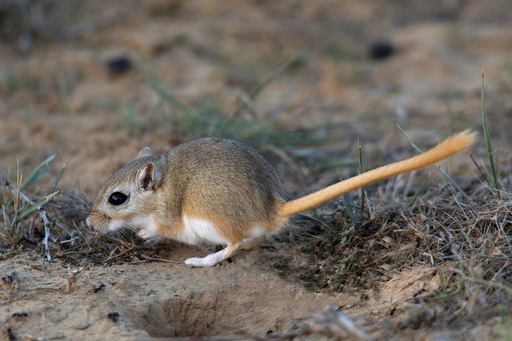 Photograph by Antonio