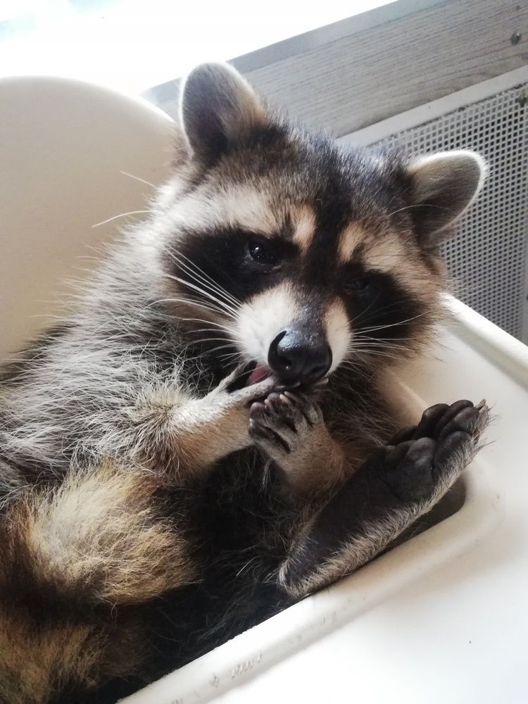 Photograph by Никита Грабкин