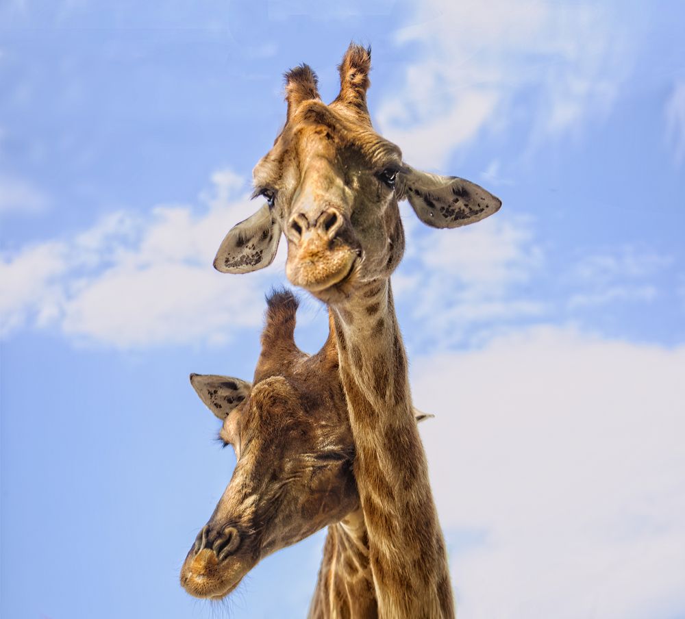 Photograph by Марианна Заднипряная www.zadnipryanaya.ru