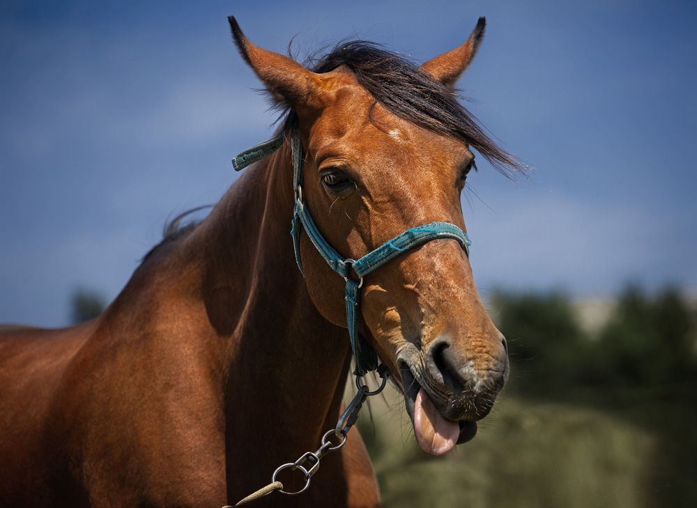 Photograph by Марианна Заднипряная www.zadnipryanaya.ru