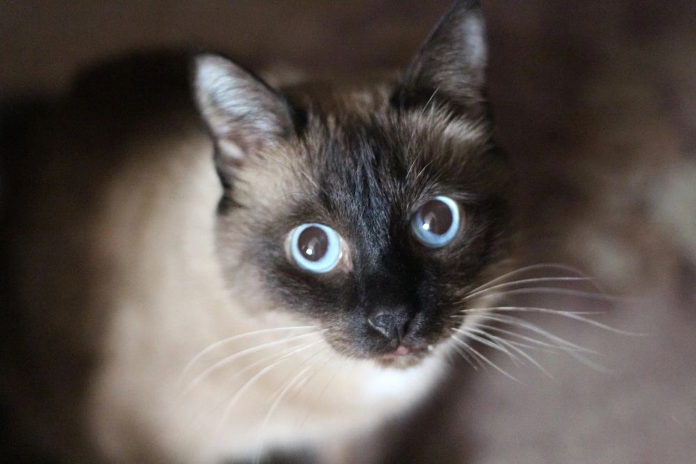 Photograph by Natasha Kim