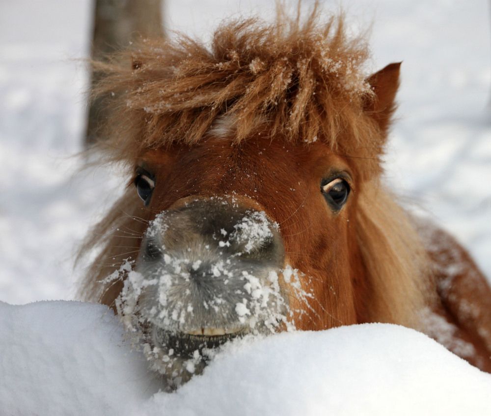Photograph by Елена Маракулина