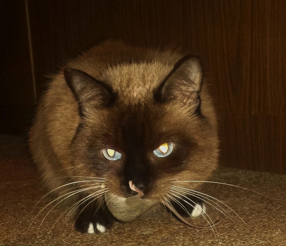 Photograph by Natasha Kim