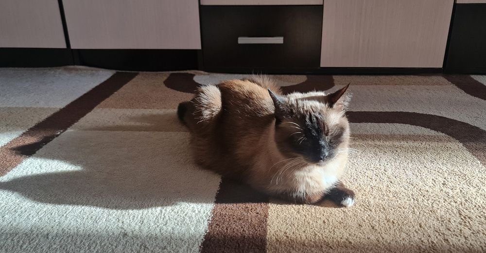 Photograph by Natasha Kim