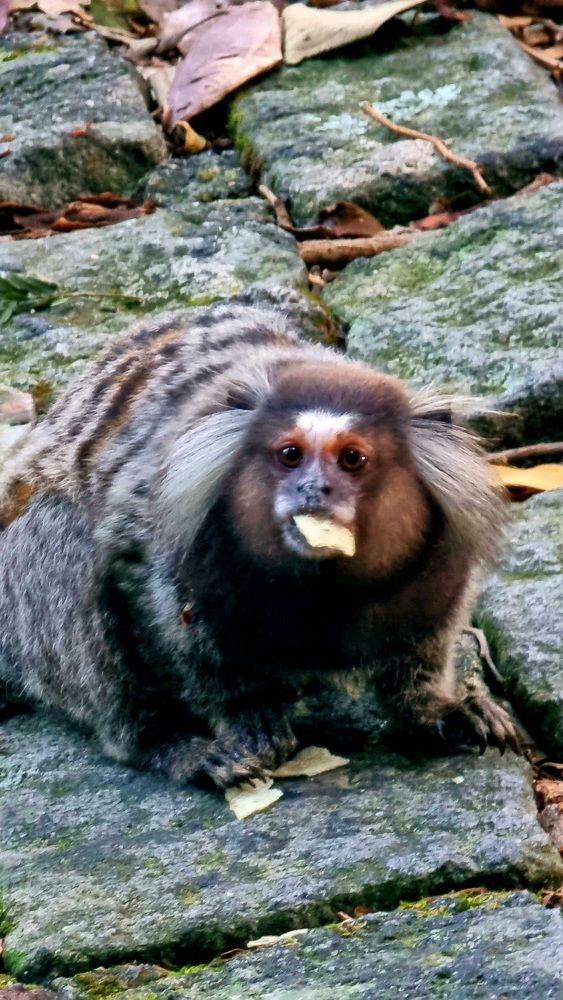 Photograph by Marie G