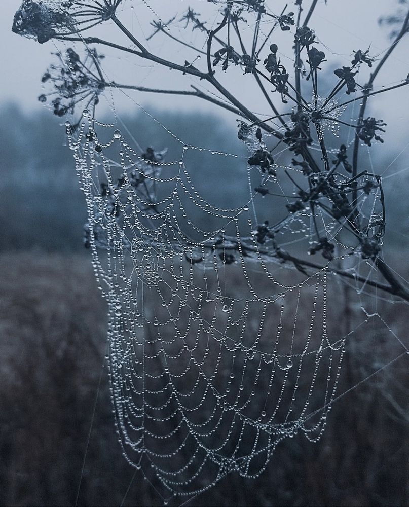 Photograph by Инга