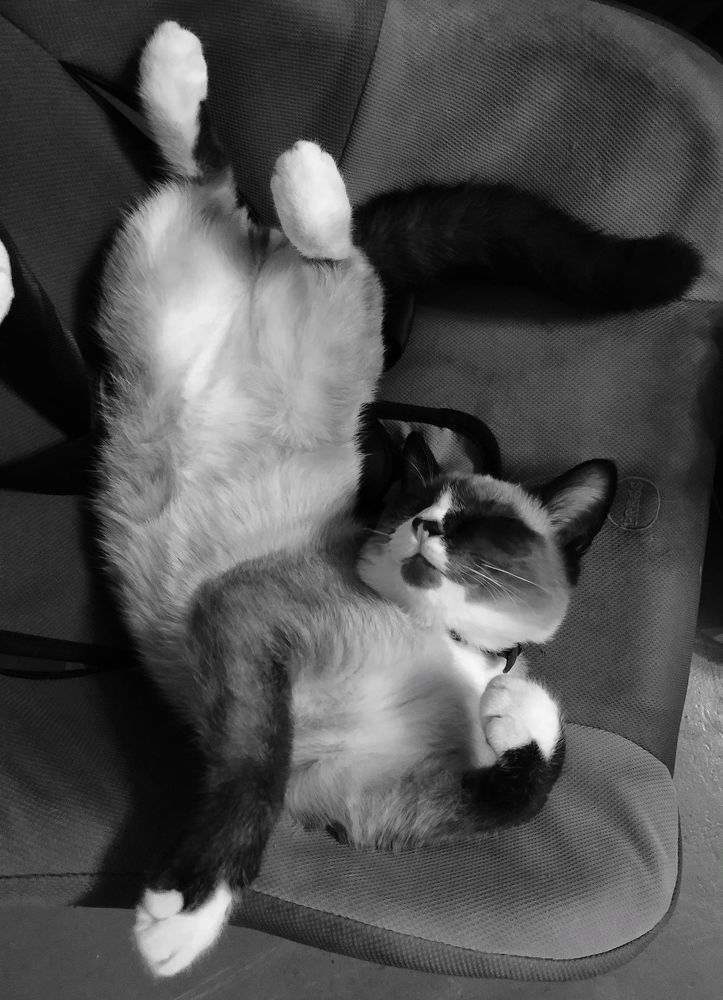 Photograph by Mila Vshivkova