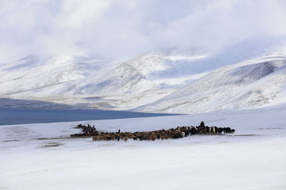 Mongolian Altai Mountains