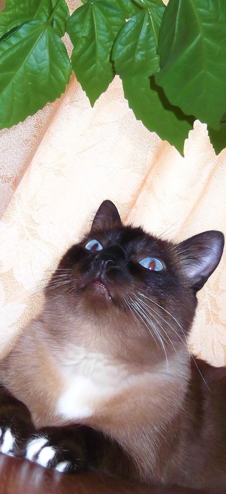 Photograph by Natasha Kim