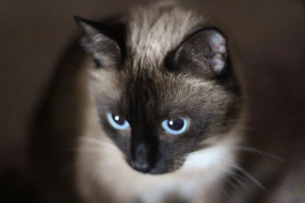 Photograph by Natasha Kim