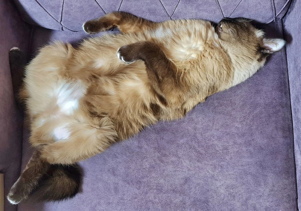 Photograph by Natasha Kim