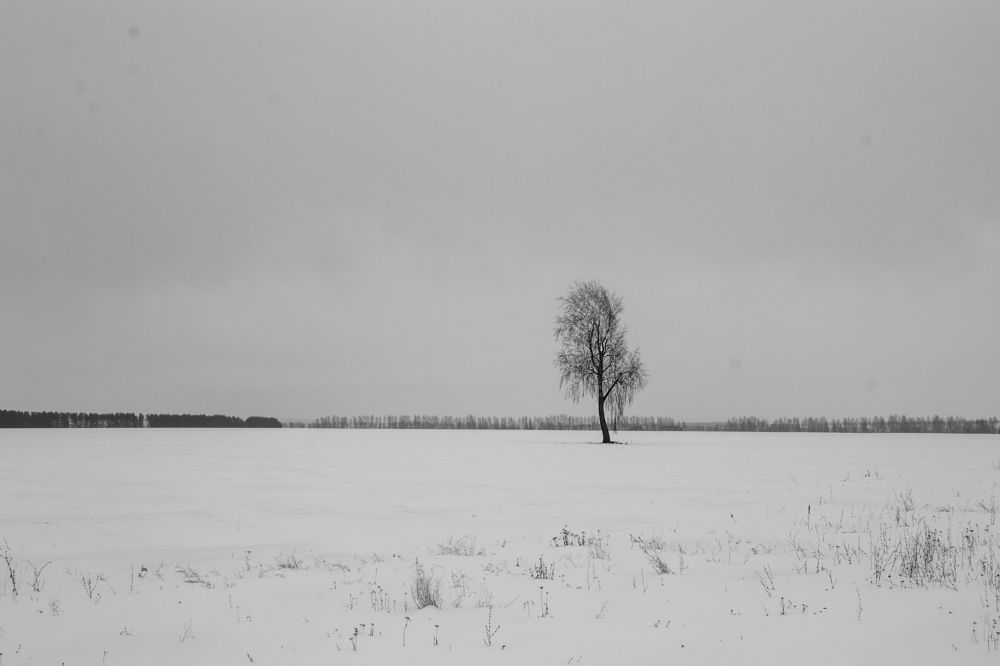 Photograph by Оксана Леонтьева